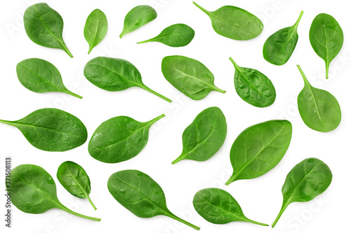 spinach leaves isolate on white background. Healthy food. Top view.