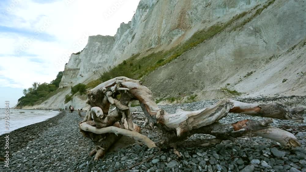 the main attraction of the island of Møn are the white chalk cliffs