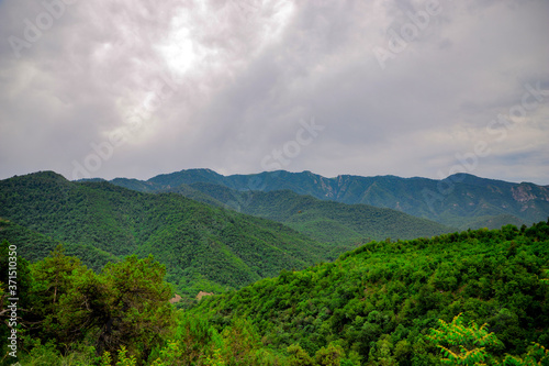 mountain, nature, sky, trees, green