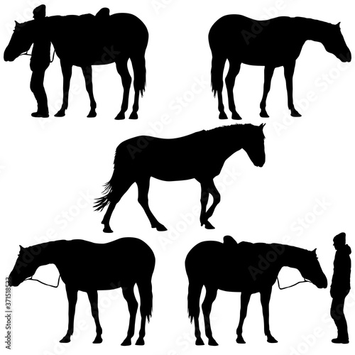 Set silhouette of black mustang horse vector illustration