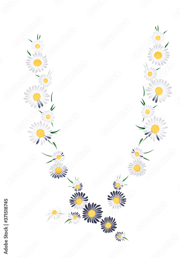 Chamomile flower group in the form of a ribbon. Isolated on white background