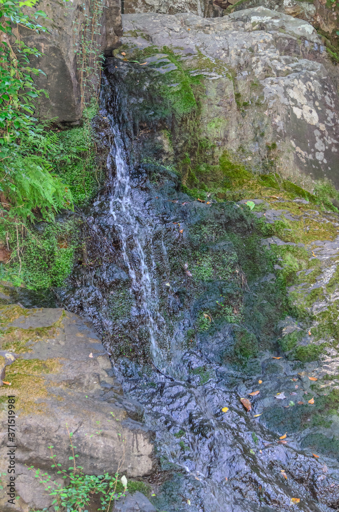 waterfall along high falls trail in the talladega national forest, alabama, usa waterfall along high falls trail in the talladega national forest, alabama, usa