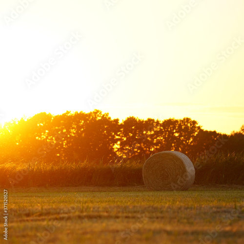 Hay bale at Sunset