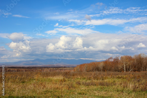 Mountain autumn landscape with colorful forest