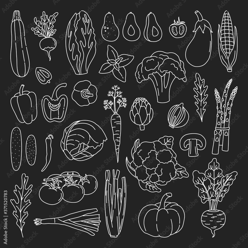 Set of outline vegetables on the black background in doodle style. Bundle of hand drawn fresh vegetarian food, with white contour. Simple art objects. Vector illustration, isolated. Set of outline vegetables on the black background in doodle style. Bundle of hand drawn fresh vegetarian food, with white contour. Simple art objects. Vector illustration, isolated.