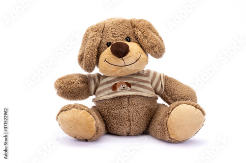 Stuffed puppy with shadow