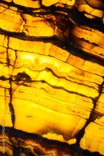 Translucent yellow marble onyx. Backlit alabaster texture