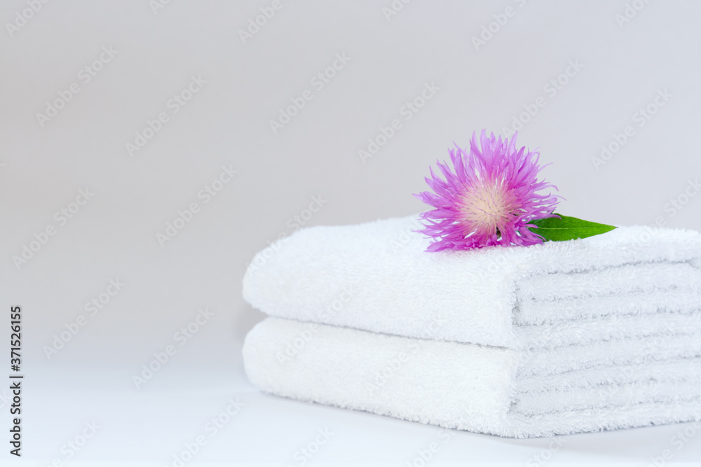 Two white neatly folded terry towels with a pink cornflower flower on a light background.