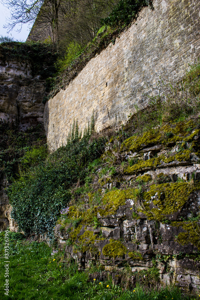 Wild Moss, Ivy, and Wildflowers Grow on Ancient Walls by Constitution Square in Luxembourg City, Luxembourg