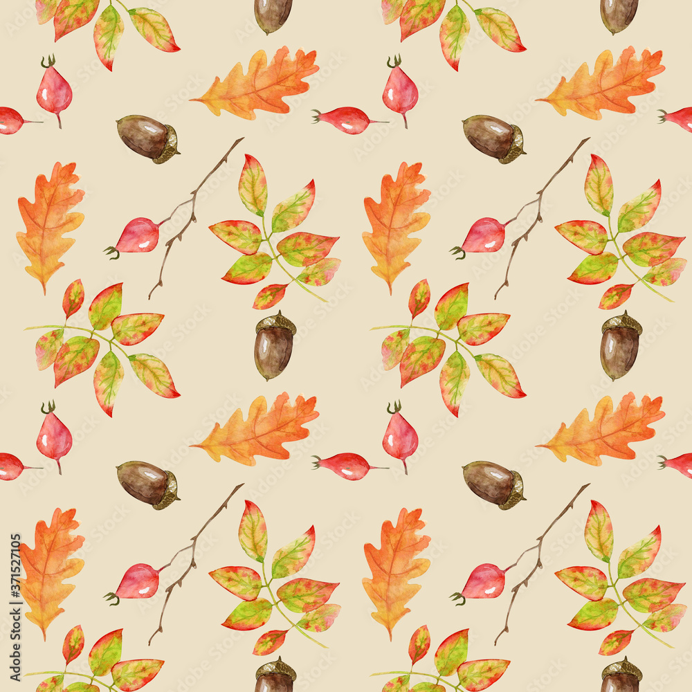 Fototapeta premium Hand painted watercolor seamless autumn pattern Acorns and Hawthorn