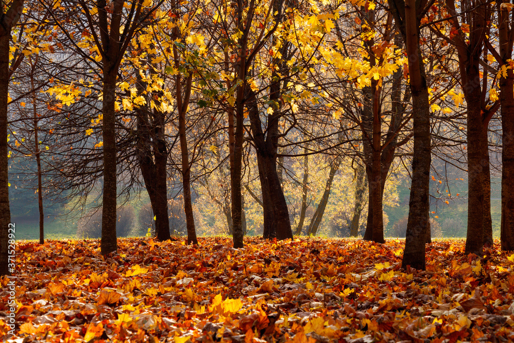 Nature Autumn landscape in Sunny october day Nature Autumn landscape in Sunny october day