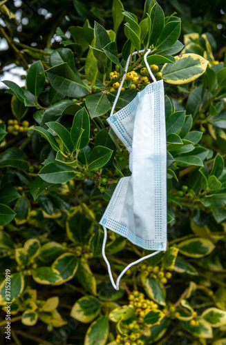 a used dispossible face mask left hanging on a tree in the grounds of a british hospital photo