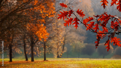 Beautiful Nature Autumn landscape