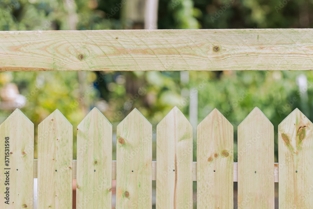 Spring grass and wooden fence in the garden