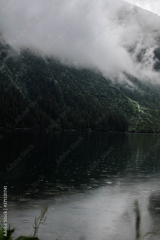 fog over the lake fog over the lake