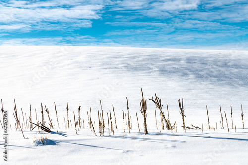 Canvas Print Winter Landscape in the Palouse, WA