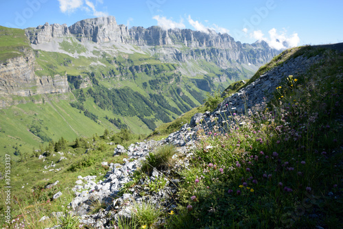 vallée de montagne Suisse en été