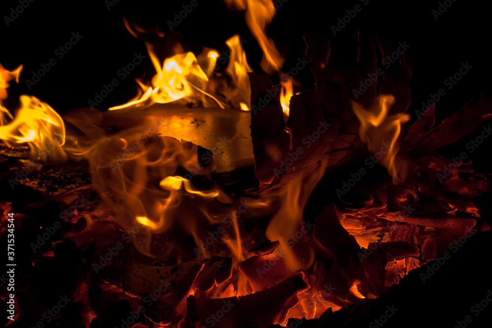 Book Burning in a Fire Pit Book Burning in a Fire Pit