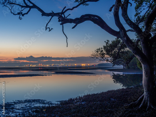 Dawn with Port of Brisbane Framed by Mangroves © Kevin