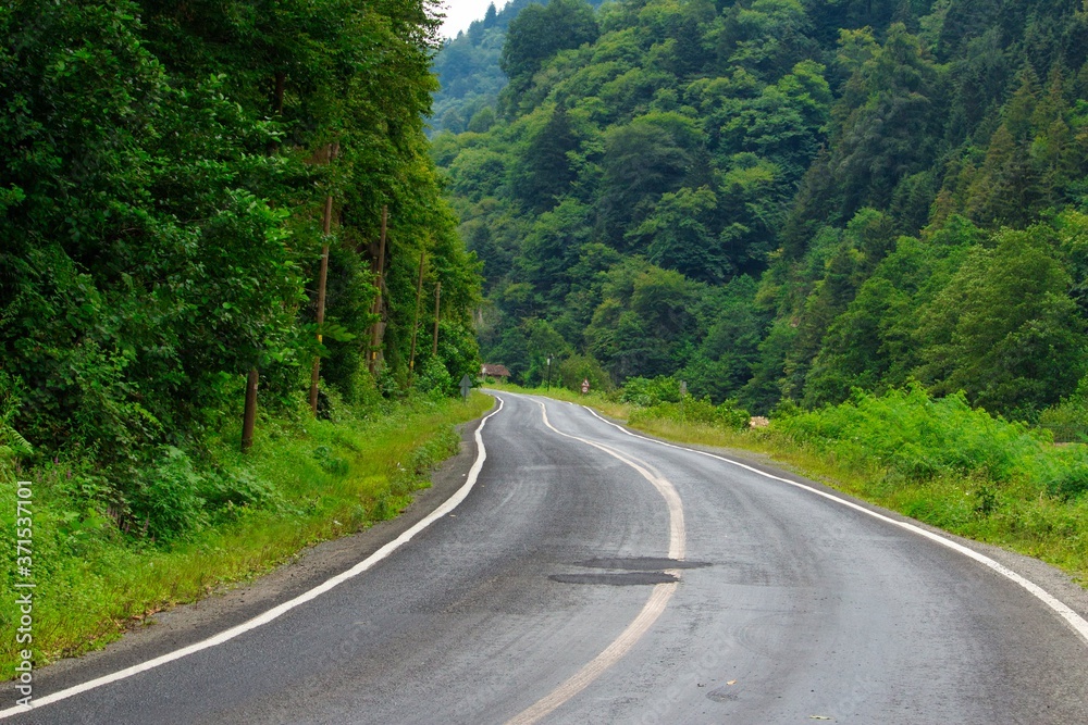 Asphalt road in mountain forests
