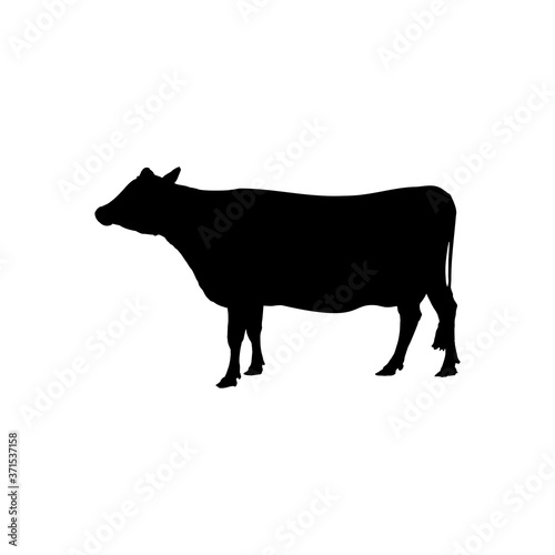 cow icon vector