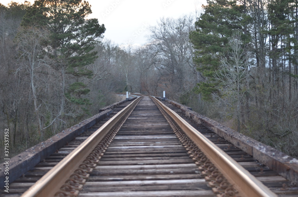 railway in the woods