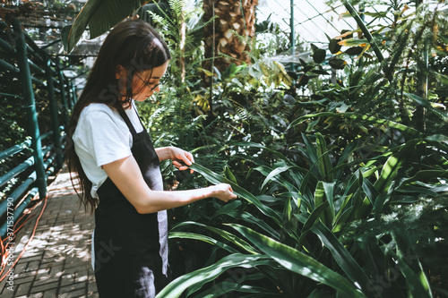 Young woman gardener in glasses and apron working in a garden center. Environmentalist touching plants leaves in greenhouse.