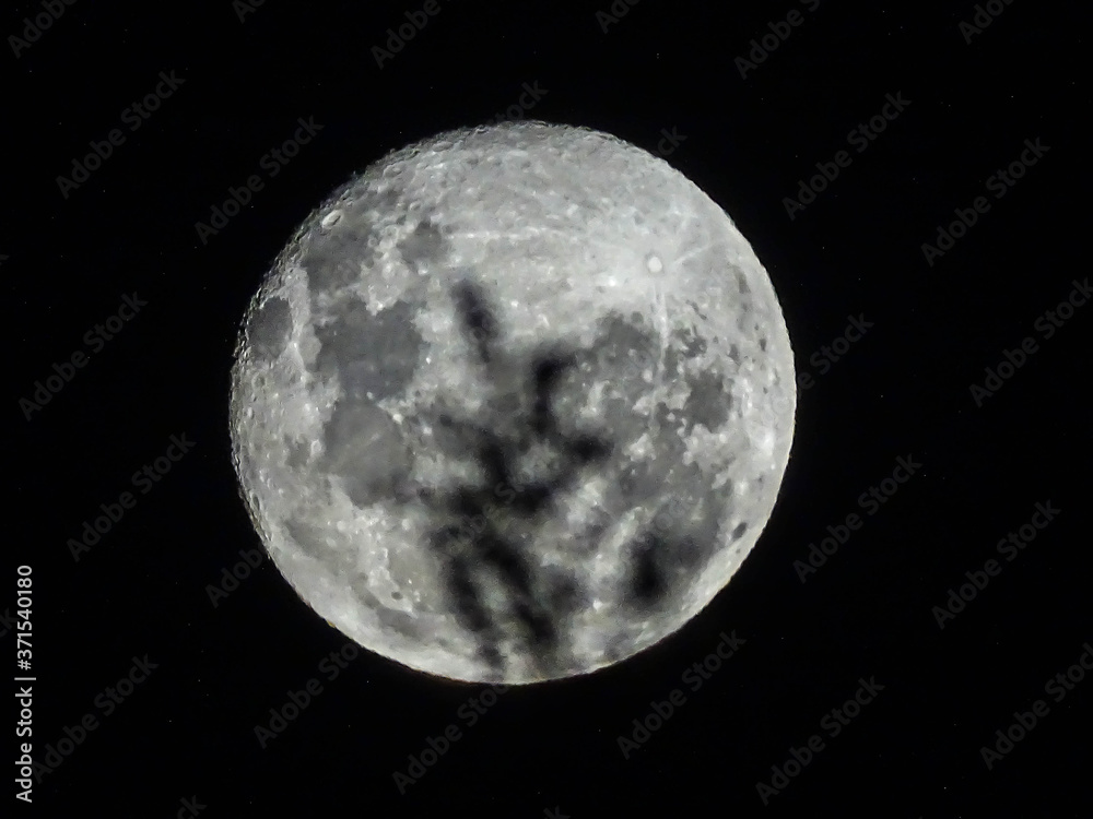 Fototapeta premium Luna 