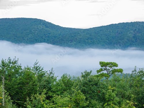 fog in the valley below a scenic overlook along the skyway motorway in the talladega national forest, alabama, usa photo