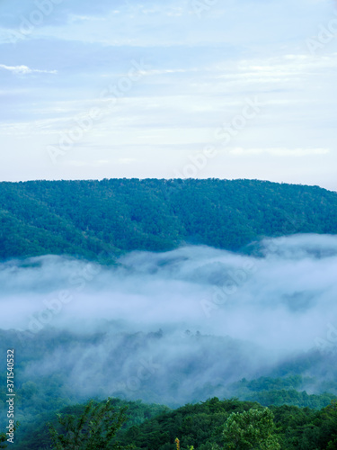 fog in the valley below a scenic overlook along the skyway motorway in the talladega national forest  alabama  usa