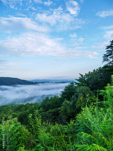 fog in the valley below a scenic overlook along the skyway motorway in the talladega national forest  alabama  usa