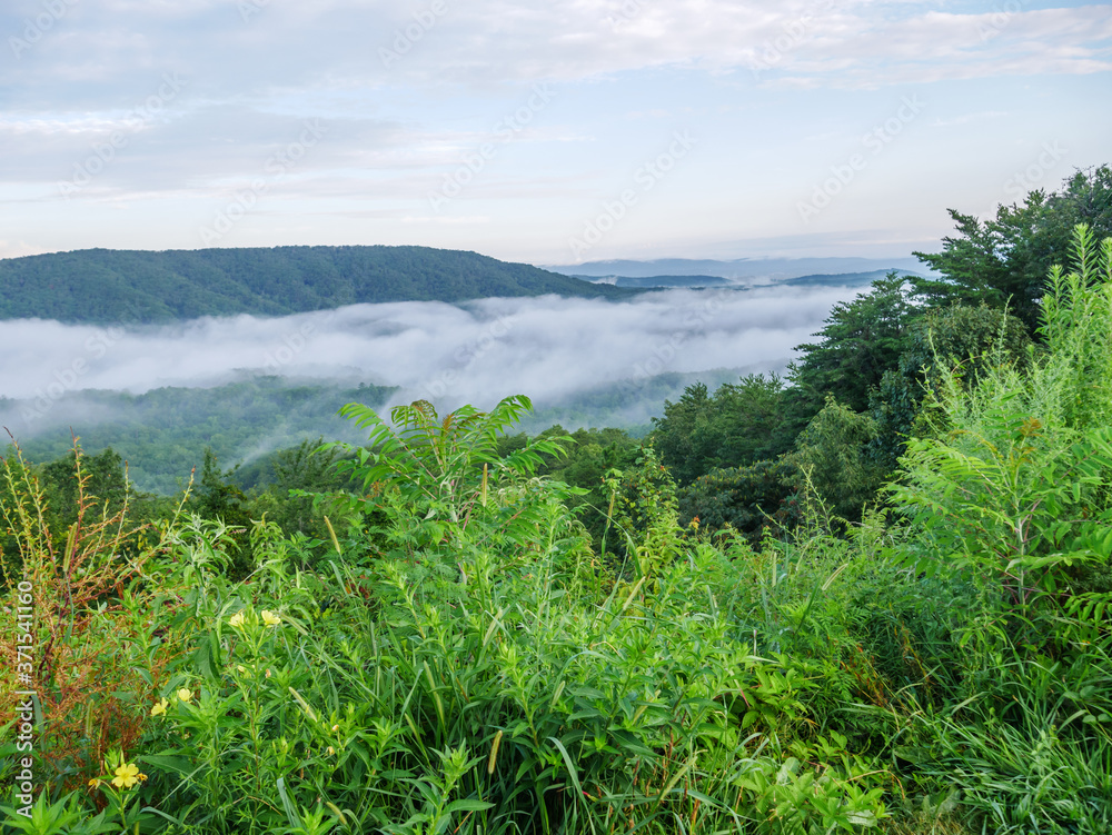 Obraz premium fog in the valley below a scenic overlook along the skyway motorway in the talladega national forest, alabama, usa