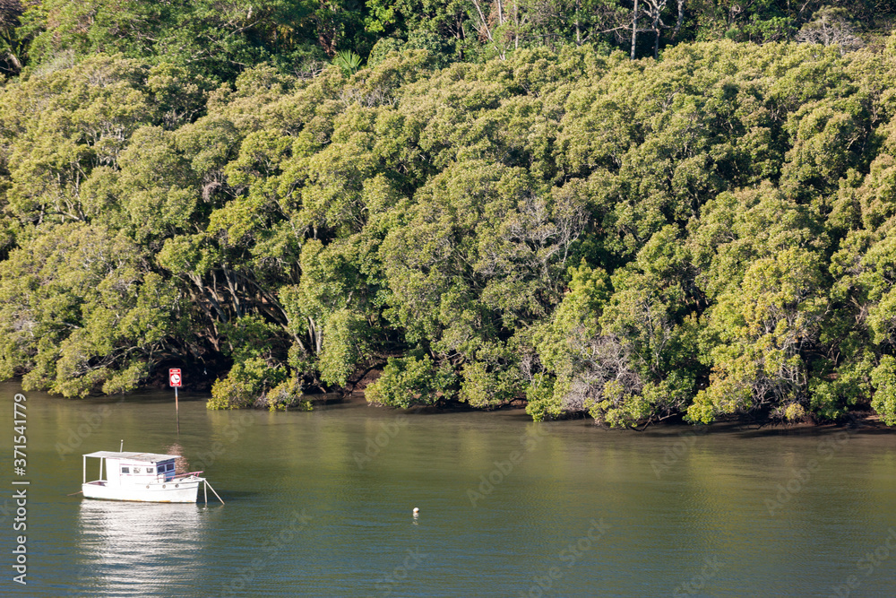 A little white yacht parked near the forest lake A little white yacht parked near the forest lake