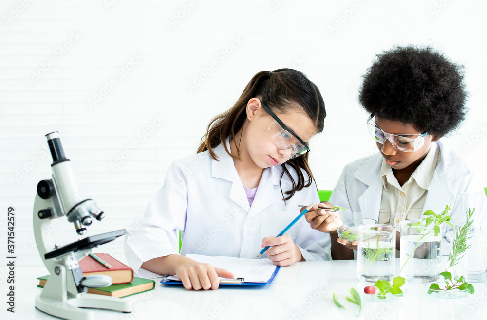Little girl and afro american boy with curly hair as a biologist studying plant and doing botany science research in glassware or flasks measuring beaker holding dripping for science and mIcroscope. Little girl and afro american boy with curly hair as a biologist studying plant and doing botany science research in glassware or flasks measuring beaker holding dripping for science and mIcroscope.