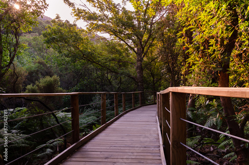 Fototapeta Naklejka Na Ścianę i Meble -  A path through the natural environment of Las Batuecas-Sierra de Francia Natural Park, Salamanca, Spain