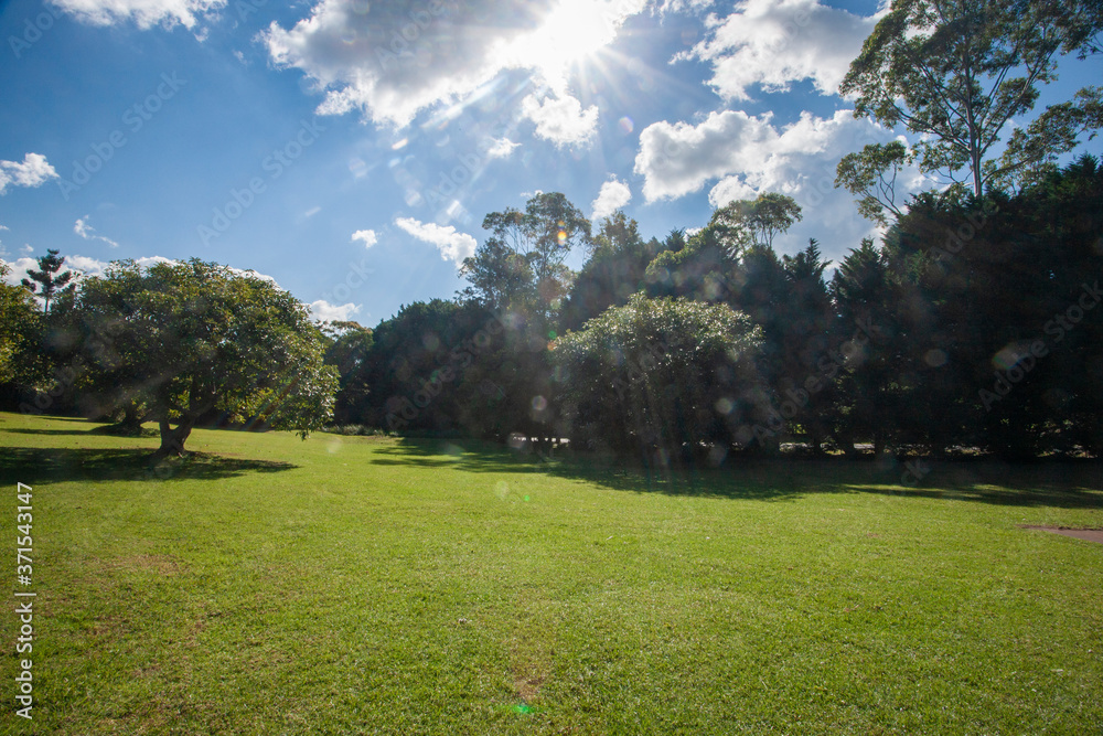 A large green field with trees in the background