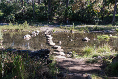 Stepping stones crossing Carnarvon Gorge Creek, in the National Park, Queensland, Australia photo