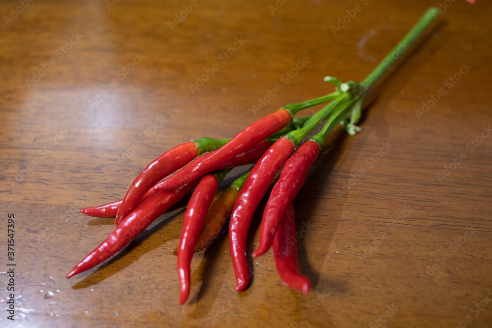トウガラシ_Chile pepper