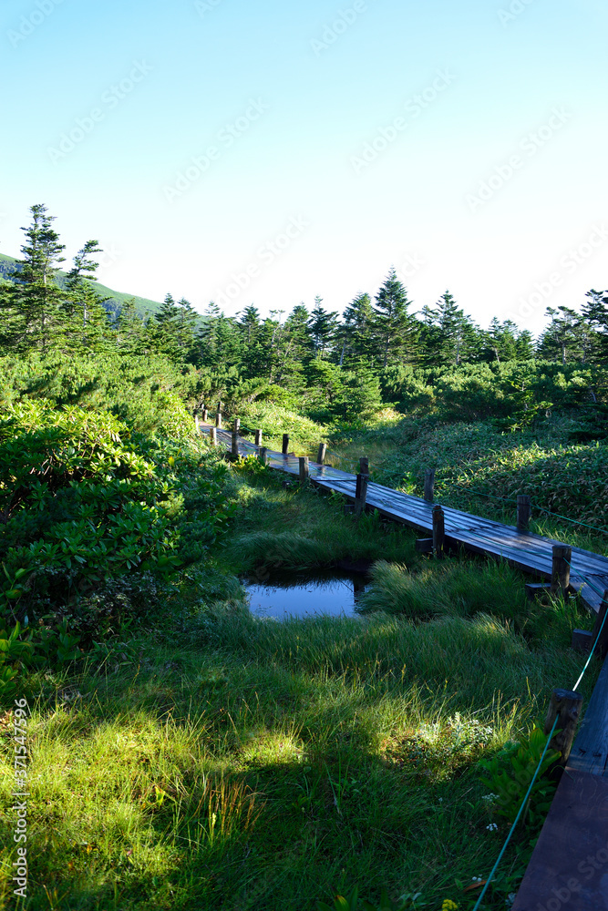 御嶽山　田ノ原　