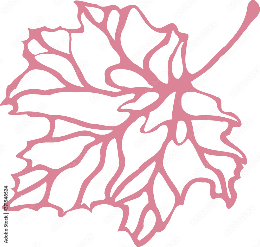 Maple leaf can be used as a print or background