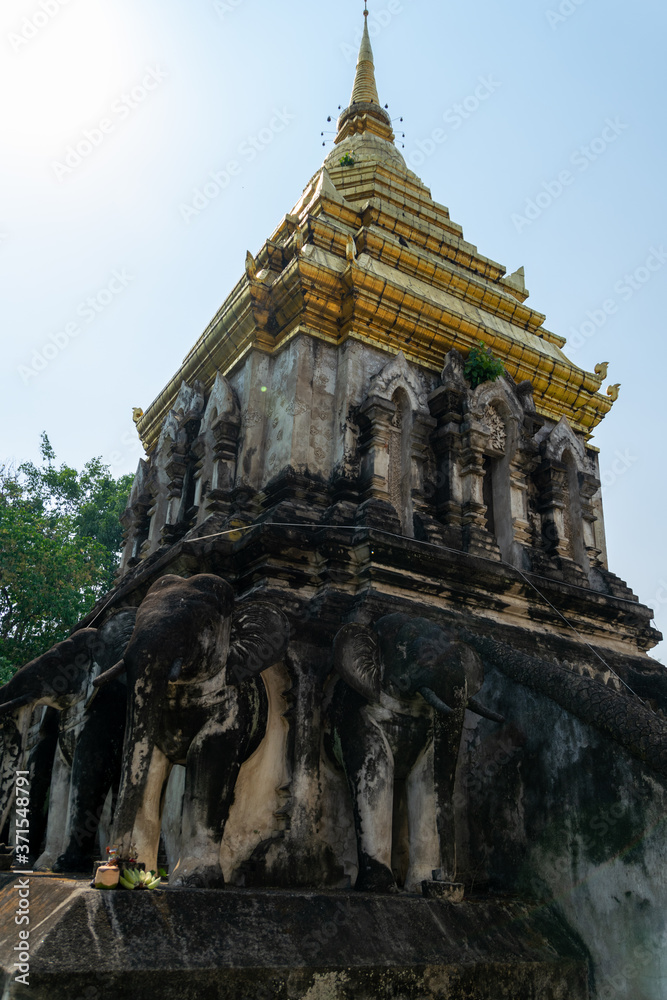 Wat Chiang Man in Thailand (ワット・チェン・マン)