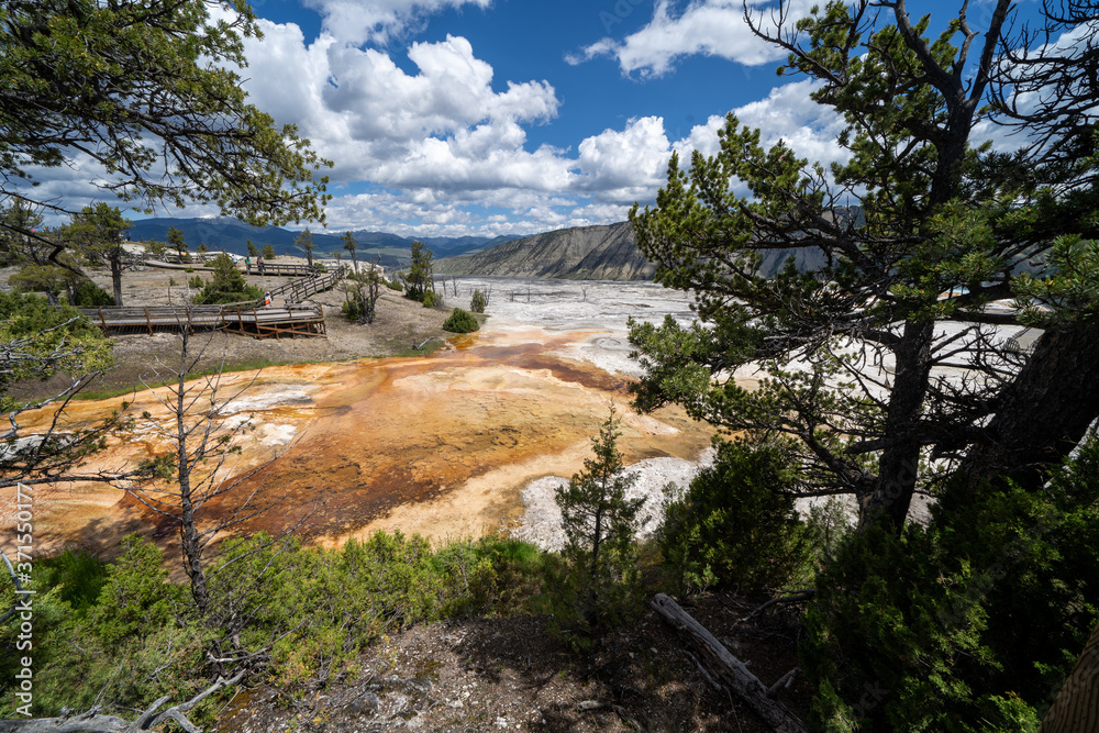 The beautiful Mammoth Hot Springs area of Yellowstone National Park, boardwalks and geysers shown