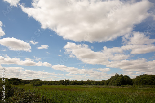 Fluffy white clouds in blue sky over the water meadow with no people in view