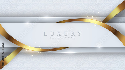 Luxury golden line background white and gray shades in 3d abstract style. Illustration from vector about modern template deluxe design.