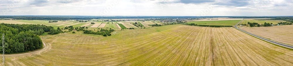 aerial wide panoramic view. rural landscape with country road between yellow wheat fields, village and forest on horizon under cloudy sky