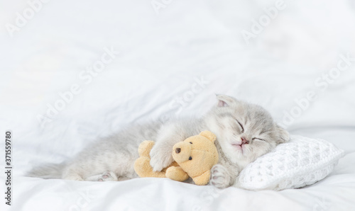 Cute kitten sleeps on a bed at home and hugs favorite toy bear