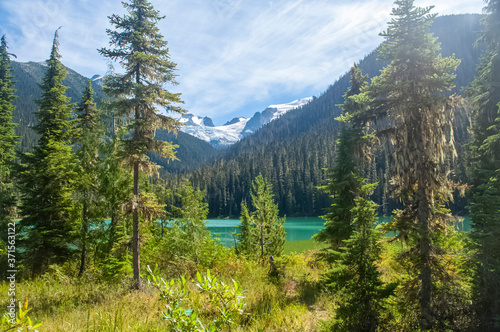 forest and mountain lake with snow peaks on the background