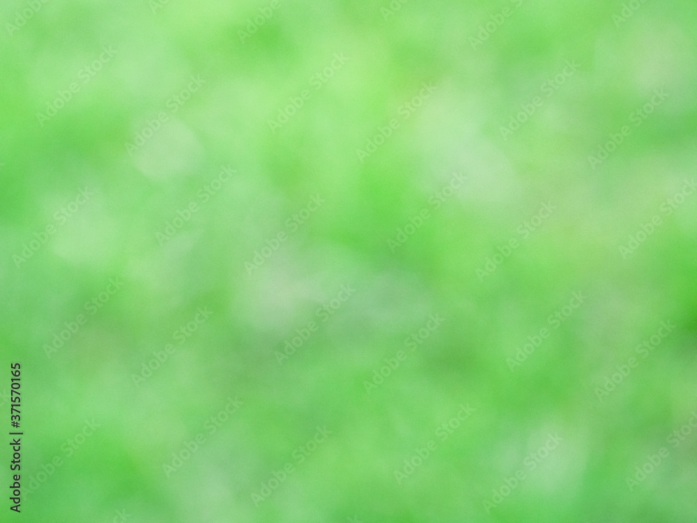 Blurred green nature and soft bokeh background Blurred green nature and soft bokeh background