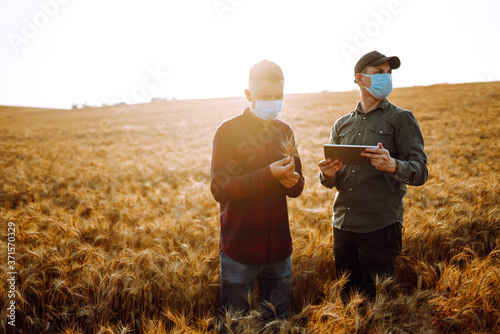 Farmers with a tablet in their hands in a wheat field. Agro business. Agriculture and harvesting concept.
