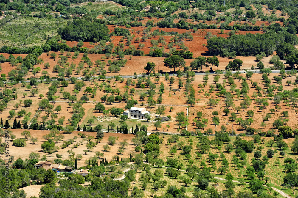 fields in Majorca